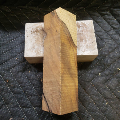 Desert ironwood