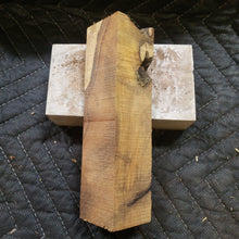 Desert ironwood