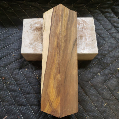 Desert ironwood