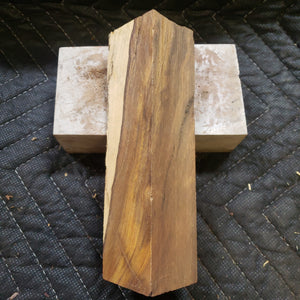 Desert ironwood