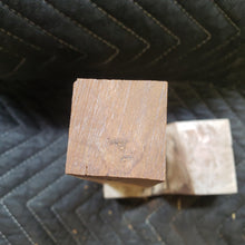 Desert ironwood