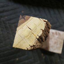 Desert ironwood casting