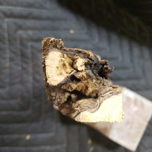 Desert ironwood casting