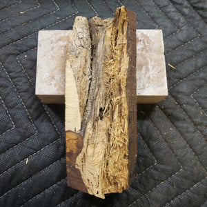 Desert ironwood casting