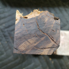 Desert ironwood casting