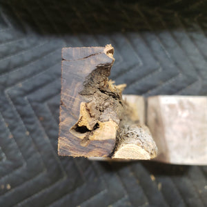 Desert ironwood casting