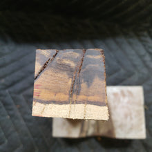 Desert ironwood