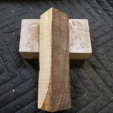 Desert ironwood