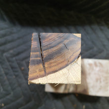 Desert ironwood
