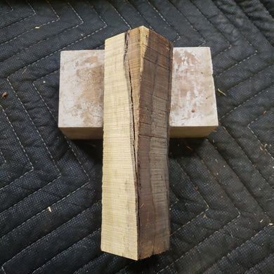 Desert ironwood