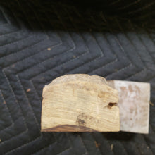 Desert ironwood