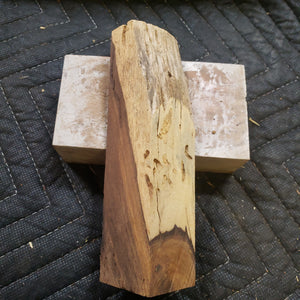 Desert ironwood