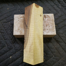 Desert ironwood