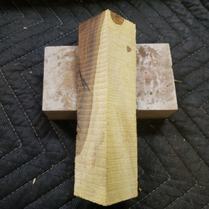 Desert ironwood