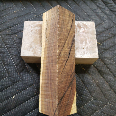 Desert ironwood