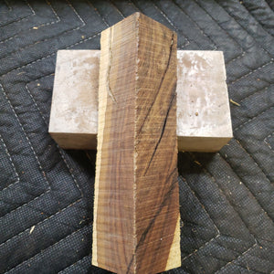 Desert ironwood