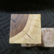Desert ironwood