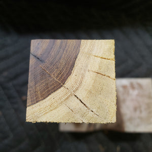 Desert ironwood