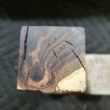 Desert ironwood