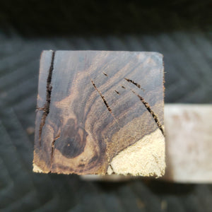 Desert ironwood