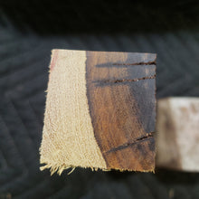 Desert ironwood