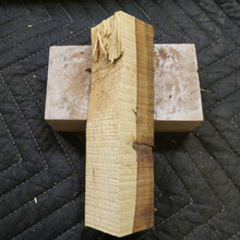 Desert ironwood