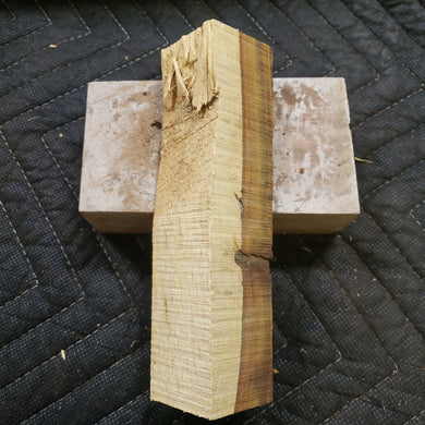 Desert ironwood