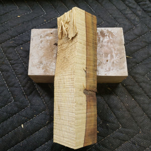 Desert ironwood