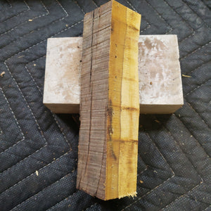 Desert ironwood