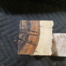 Desert ironwood