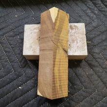 Desert ironwood