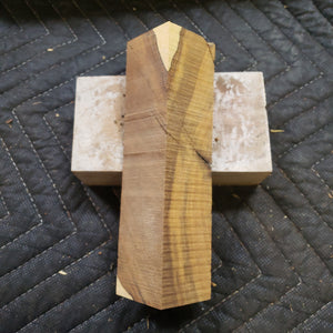 Desert ironwood