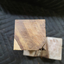 Desert ironwood