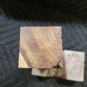 Desert ironwood