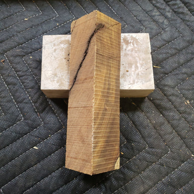 Desert ironwood