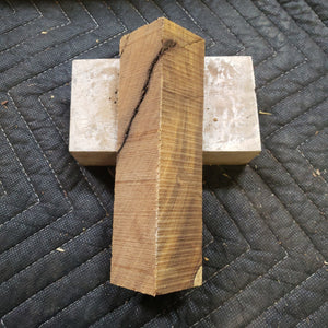 Desert ironwood