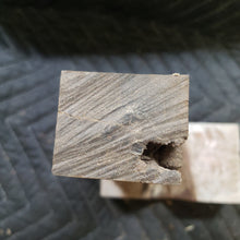 Desert ironwood casting