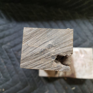 Desert ironwood casting