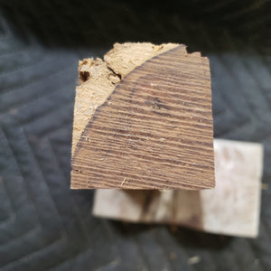 Desert ironwood casting