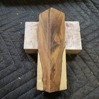 Desert ironwood