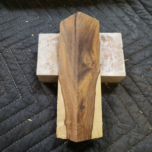 Desert ironwood