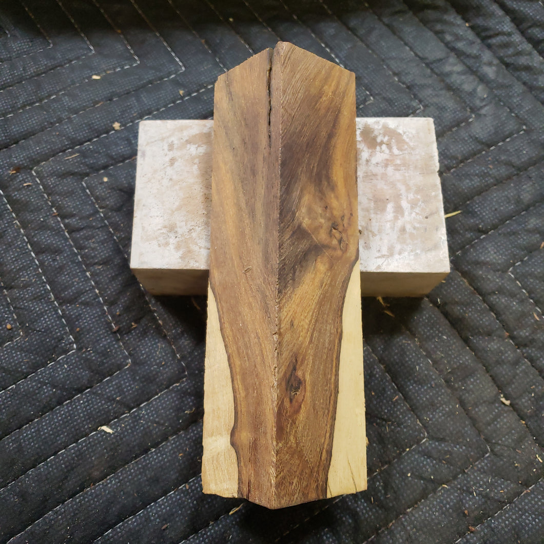 Desert ironwood