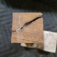 Desert ironwood