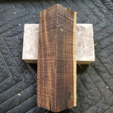 Desert ironwood