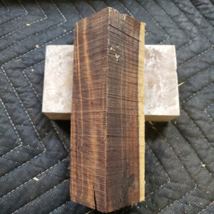 Desert ironwood