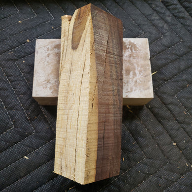 Desert ironwood