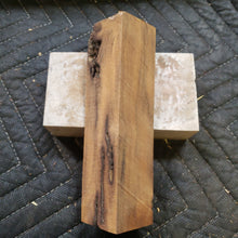 Desert ironwood