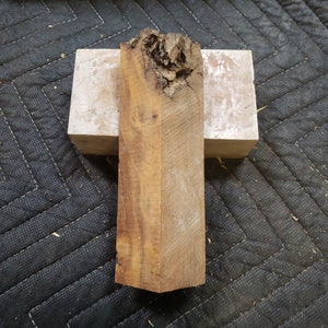 Desert ironwood