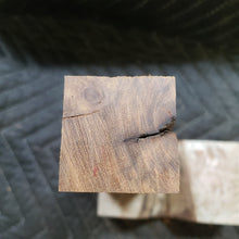 Desert ironwood