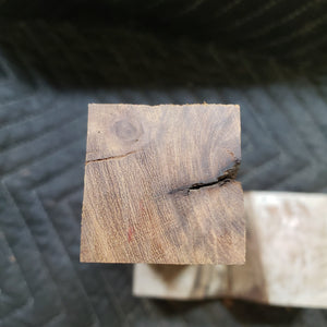 Desert ironwood